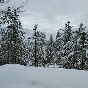 Meet your Posher, Irene